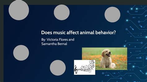 Does Music Affect on Animal Behavior? Or Is It Just a New Trend?