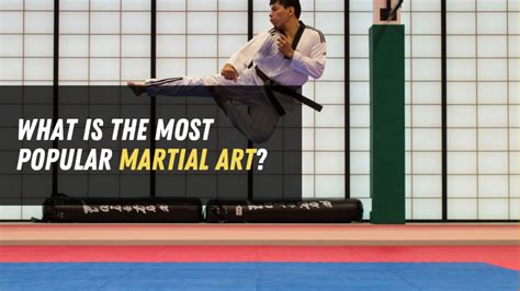 what is the most popular martial art: exploring its cultural significance and global appeal